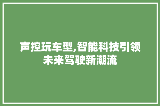 声控玩车型,智能科技引领未来驾驶新潮流