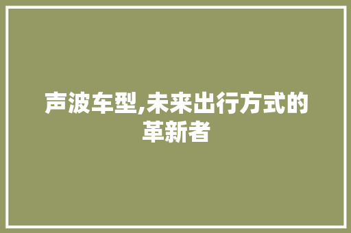 声波车型,未来出行方式的革新者