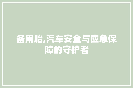 备用胎,汽车安全与应急保障的守护者