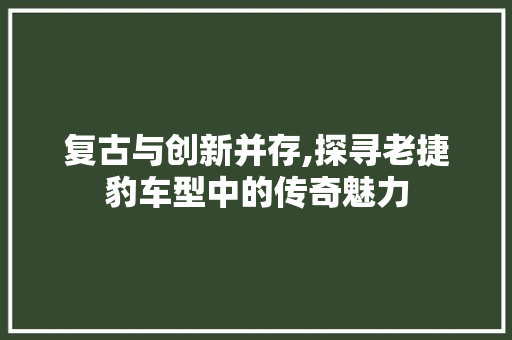 复古与创新并存,探寻老捷豹车型中的传奇魅力
