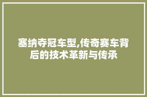塞纳夺冠车型,传奇赛车背后的技术革新与传承