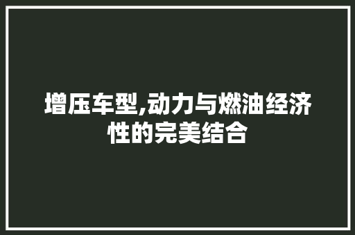 增压车型,动力与燃油经济性的完美结合