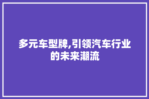 多元车型牌,引领汽车行业的未来潮流