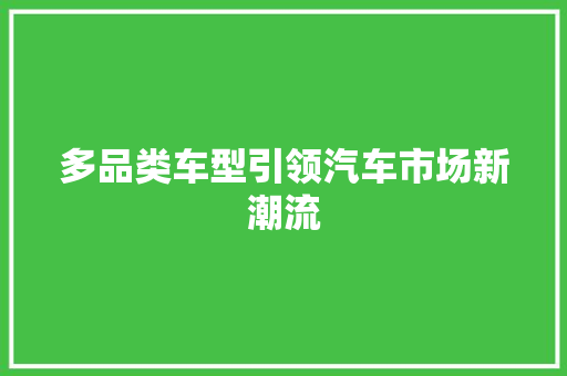 多品类车型引领汽车市场新潮流