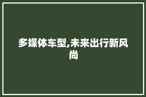 多媒体车型,未来出行新风尚