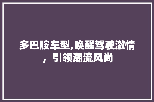 多巴胺车型,唤醒驾驶激情，引领潮流风尚