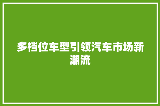 多档位车型引领汽车市场新潮流