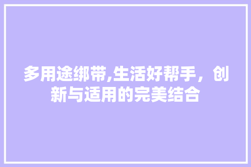 多用途绑带,生活好帮手，创新与适用的完美结合