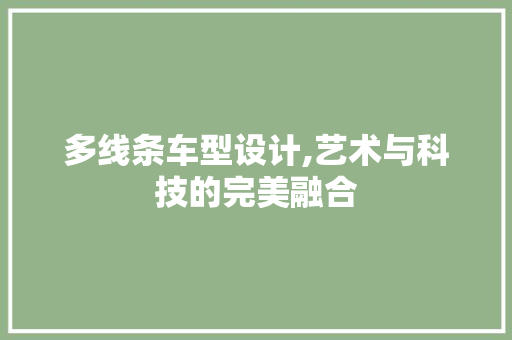 多线条车型设计,艺术与科技的完美融合