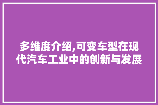 多维度介绍,可变车型在现代汽车工业中的创新与发展