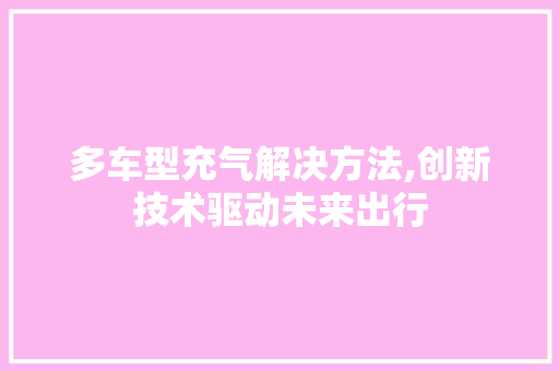 多车型充气解决方法,创新技术驱动未来出行