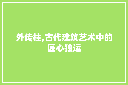 外传柱,古代建筑艺术中的匠心独运